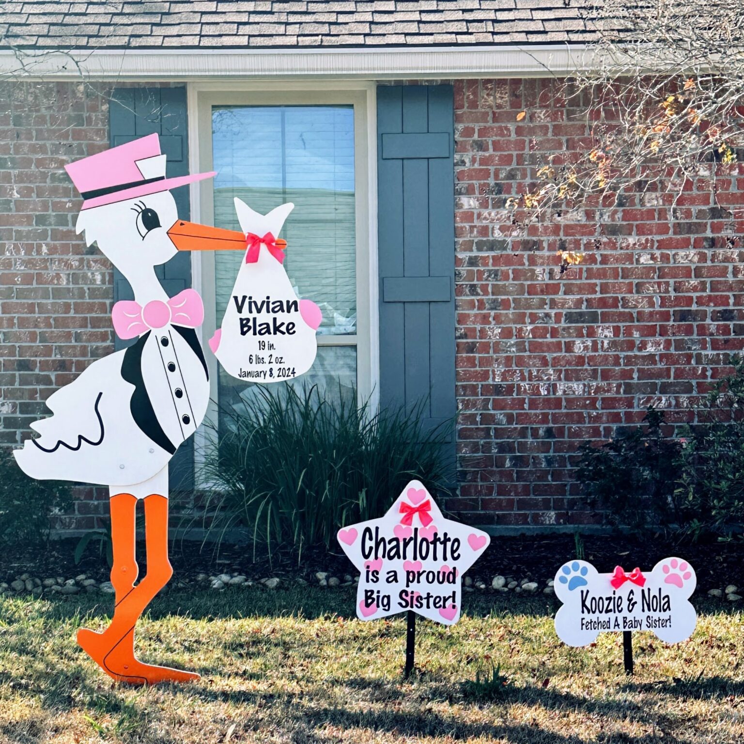 Birth Announcement Sign – Nashville TN